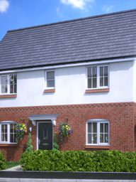 The Chestnut 11th Jan 2021